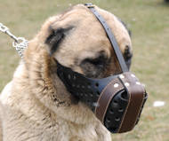 Agitation/Police Dog Muzzle For Anatolian Shepherd-Leather Muzzle  Agitation/Police Dog Muzzle For Anatolian Shepherd-Leather Muzzle