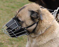 Anatolian Shepherd Muzzle - Wire Muzzle,Cage Muzzle,Basket Dog Muzzle For Anatolian Shepherd  Anatolian Shepherd Muzzle - Wire Muzzle,Cage Muzzle,Basket Dog Muzzle For Anatolian Shepherd