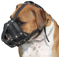 Muzzle suitable shop for boxer