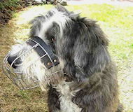 Bearded Collie Muzzle - Wire Muzzle,Cage Muzzle,Basket Dog Muzzle For Bearded Collie  Bearded Collie Muzzle - Wire Muzzle,Cage Muzzle,Basket Dog Muzzle For Bearded Collie