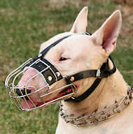 English Bull Terrier Muzzle - Wire Muzzle,Cage Muzzle,Basket Dog Muzzle For English Bull Terrier  English Bull Terrier Muzzle - Wire Muzzle,Cage Muzzle,Basket Dog Muzzle For English Bull Terrier