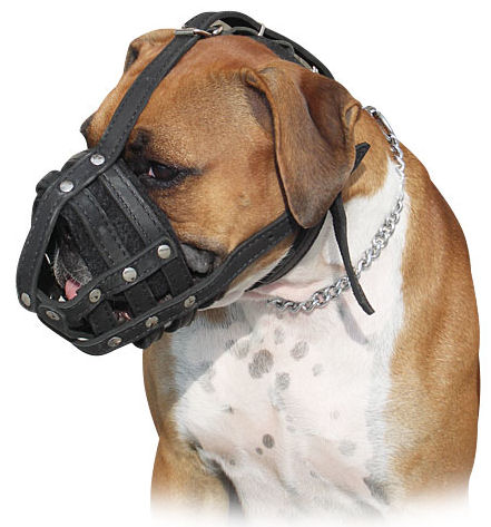 Boxer Lether Padded Dog Muzzle-Boxer Basket Leather Muzzle [M41##1062