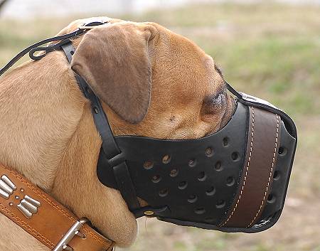 Tactical dog outlet muzzle