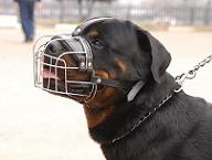 Rottweiler Muzzle - Wire Muzzle,Cage Muzzle,Basket Dog Muzzle For Rottweiler  Rottweiler Muzzle - Wire Muzzle,Cage Muzzle,Basket Dog Muzzle For Rottweiler