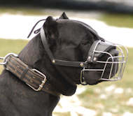 Cane Corso Muzzle - Wire Muzzle,Cage Muzzle,Basket Dog Muzzle For Cane Corso  Cane Corso Muzzle - Wire Muzzle,Cage Muzzle,Basket Dog Muzzle For Cane Corso